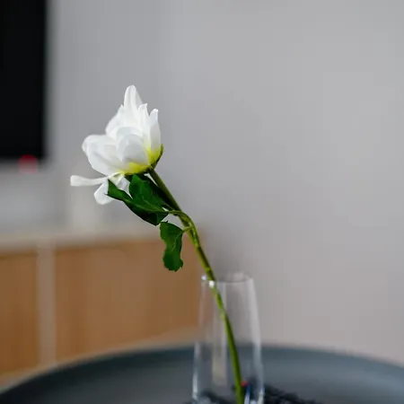 Urban Style Tineretului