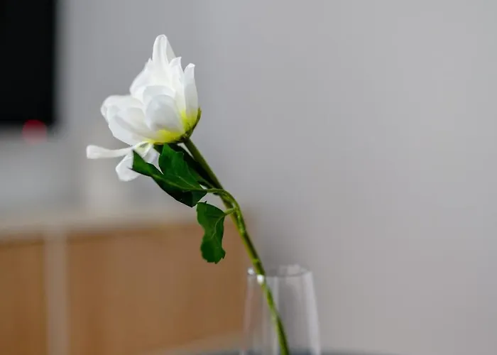 Urban Style Tineretului